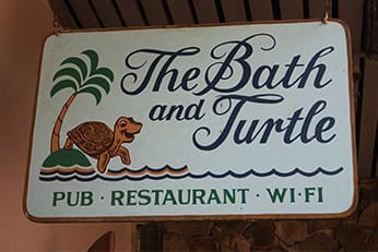 bath-turt